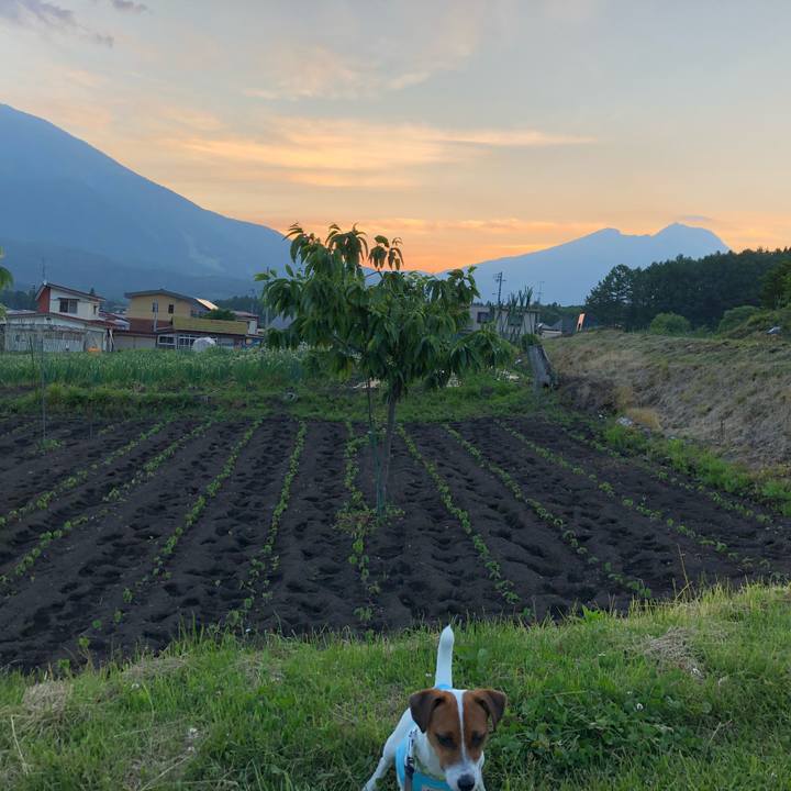 53610ce0 613d 46dc b262 8d0a37cff77c 1528030683353