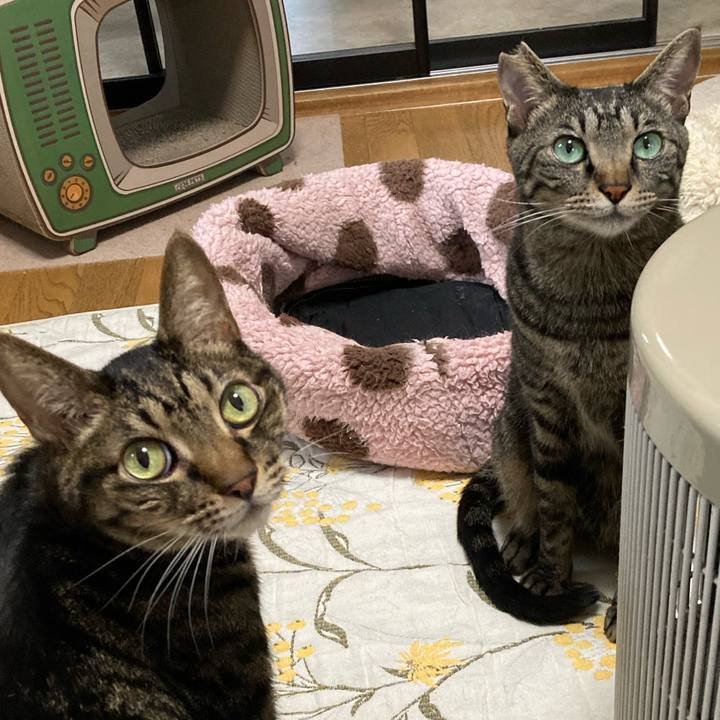 53612422 4131 44d7 91ae 9f14e1cfc129 1707731724167