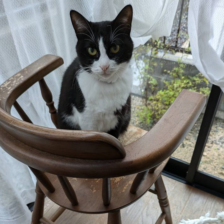 53614b40 175e 433b 9b5c 861783f0c437 1728972301156