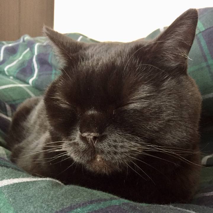 5361510a 2a27 4622 aa4b 58bcd291cab2 1583459343434