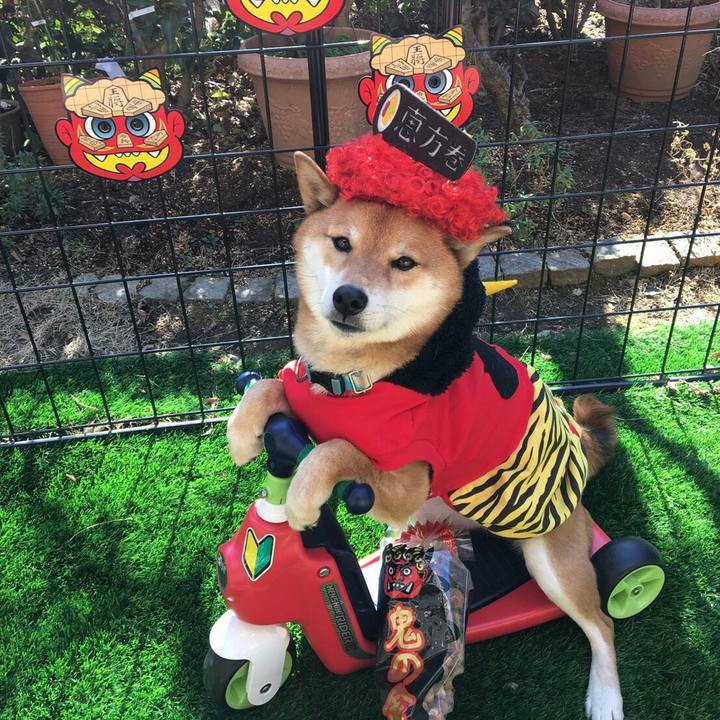 536203c7 06e2 481c 8613 e4612cadcb63 1549099862149