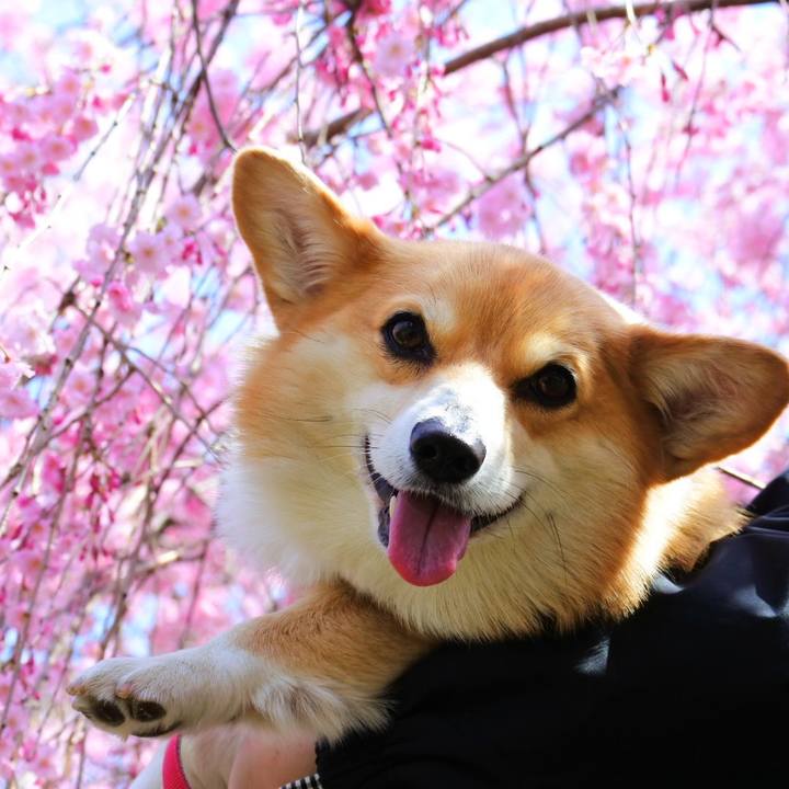 53622249 5d46 41b2 bb9e 865001721904 1617458716568