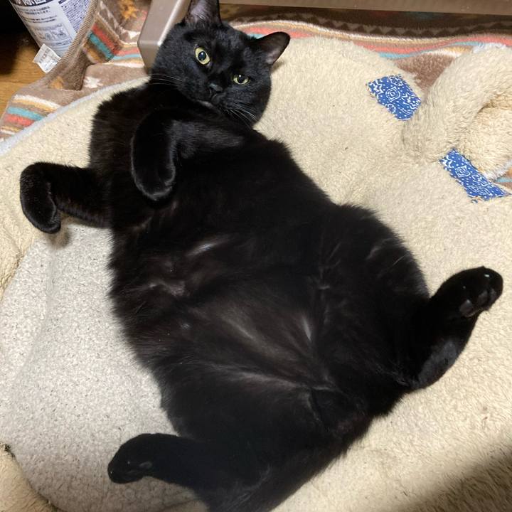 536277c2 8b25 4082 a4d3 1207e80316fa 1647780882196