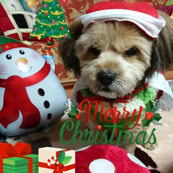 5362bb85 544c 4a77 8af9 e1d97838edbf 1514115652935