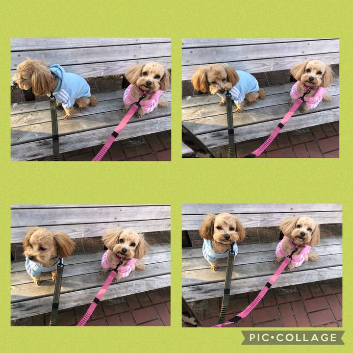 5362c404 b0d5 4f07 9f25 0aaa61fe9adc 1645968743081