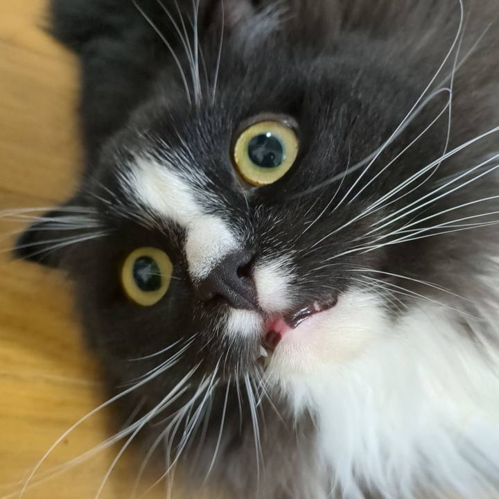 5362d648 2dff 4a21 8f2a 33653c7abe12 1691883720761