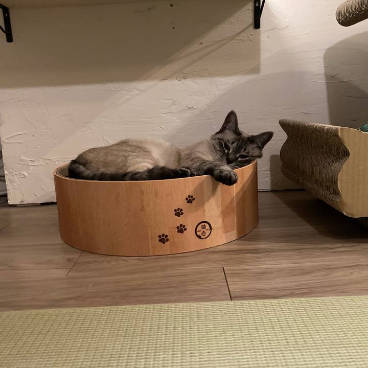 5362f0cd 227b 4d9e 999e ba4727613dc6 1687491198442