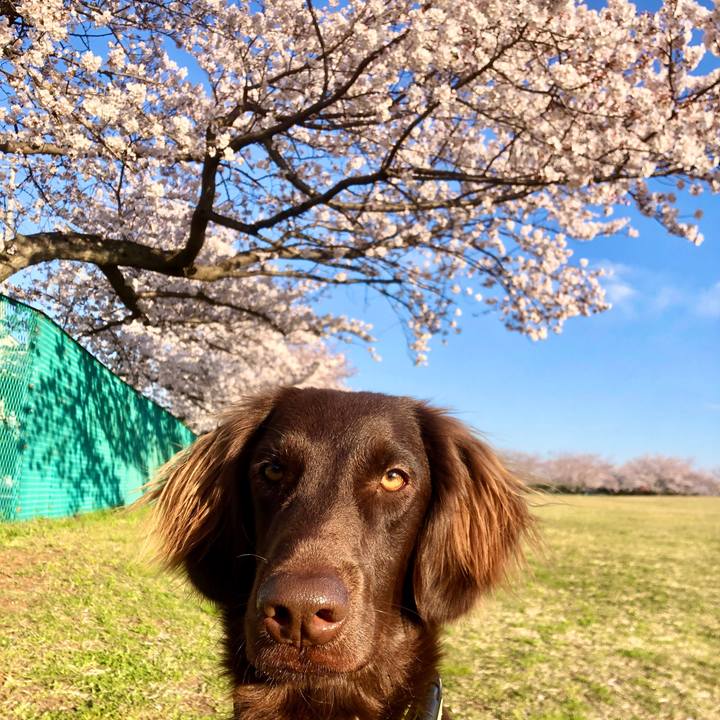 5363241e ed52 405c 9c0f 9383c68acc78 1585003558910