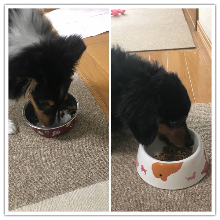 53633ead 4985 4073 8686 707169213386 1515365847225