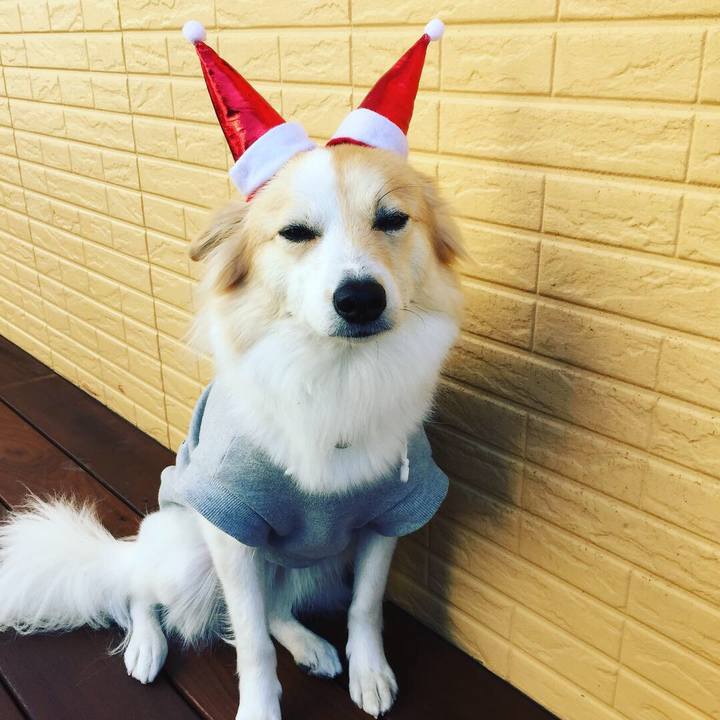 5363553f 0de8 44c8 ae0f c30f47f905e1 1546166555411