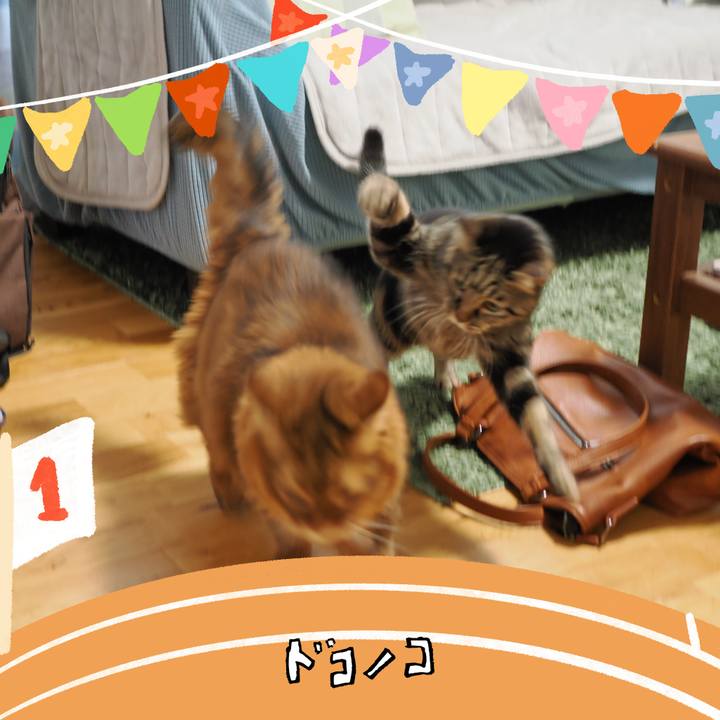 53638b26 766c 4542 af4a b467fe9e11c9 1763351714959