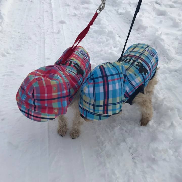 5363e506 3316 4394 b941 aaee84f9f914 1576314703922