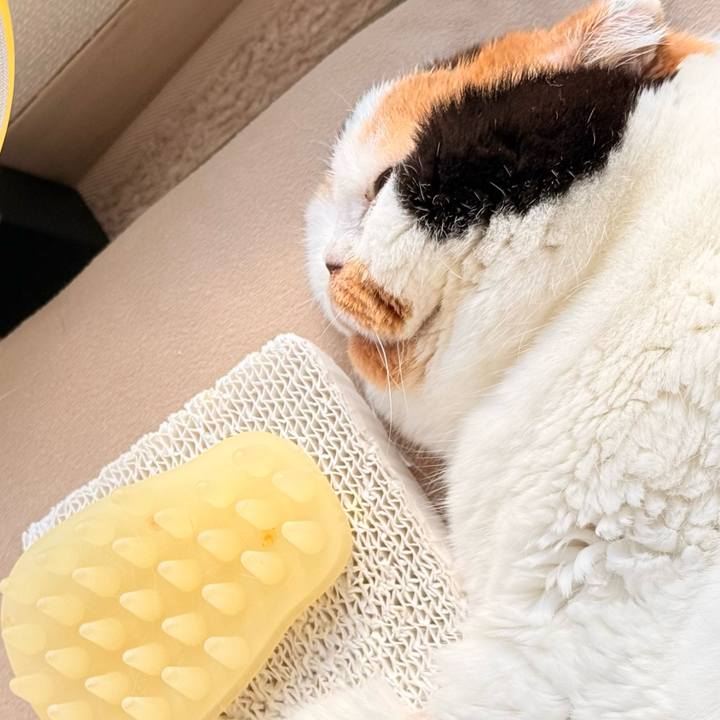 5364461d b88e 42cd ba03 9c0841a015c8 1762951671925