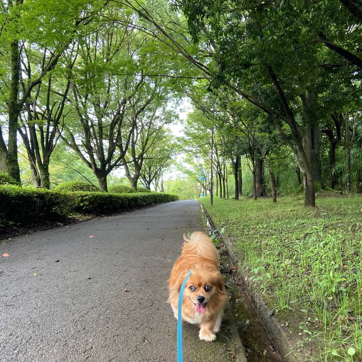 53645997 aef8 4614 a122 a390bfbbb2ba 1594509522092