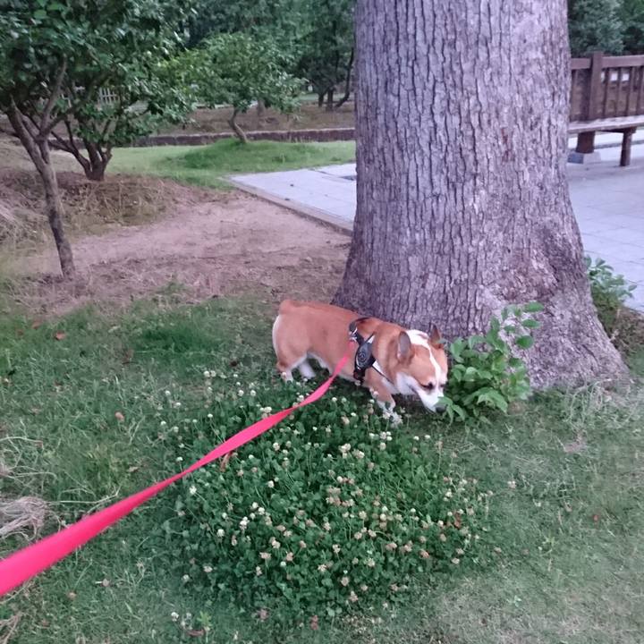 536459b6 480b 4256 af81 2056b2266e1c 1625969403211