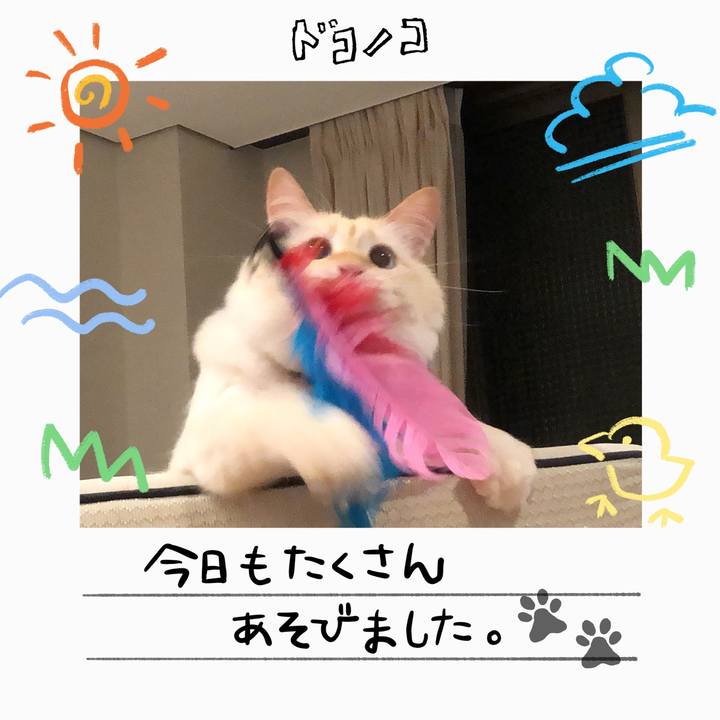 5364c570 15a6 46f0 8886 b7e54034dc59 1755406830813
