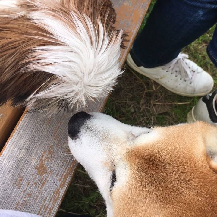 5364ddec efc4 44a6 aec1 50e3b7fbb8d0 1574568693109