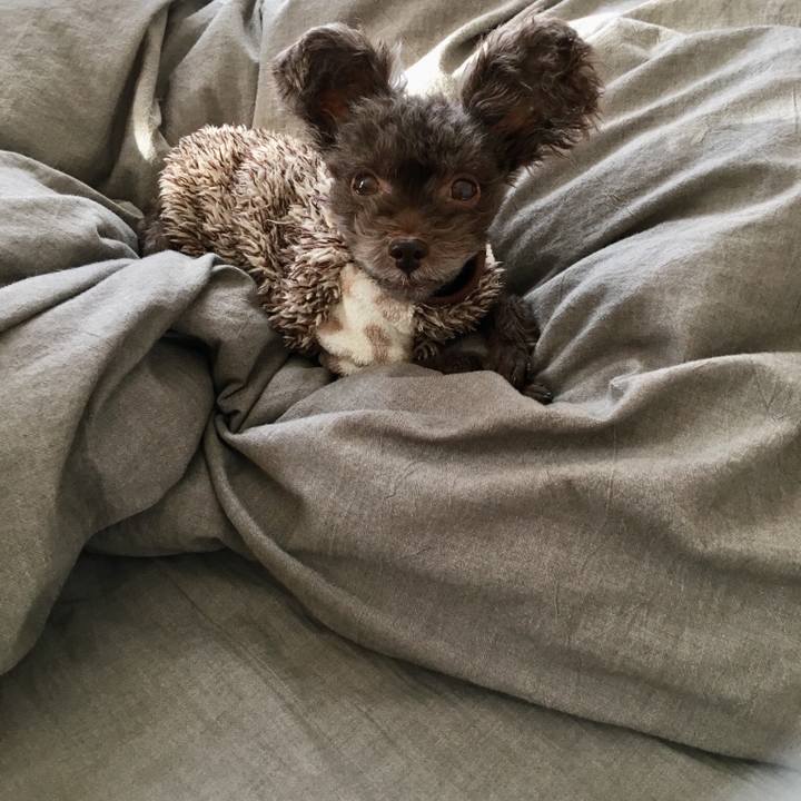 53651d2f 247a 4028 9aad 1df71d6b699f 1509400084273