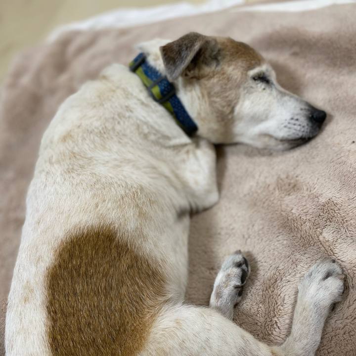 5365239f 262d 4b0e 898e 732d3ab52359 1715433409061