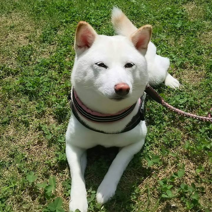 5365325c 6b2b 446c 8e6c d0c230930d14 1527823705119