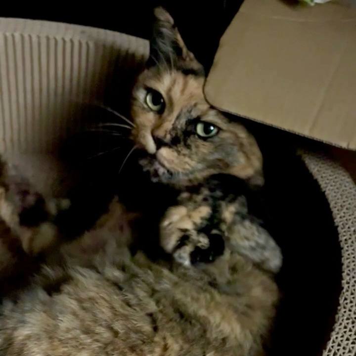 536537ba f03f 4c27 a526 25bcb7278ae8 1756068437048