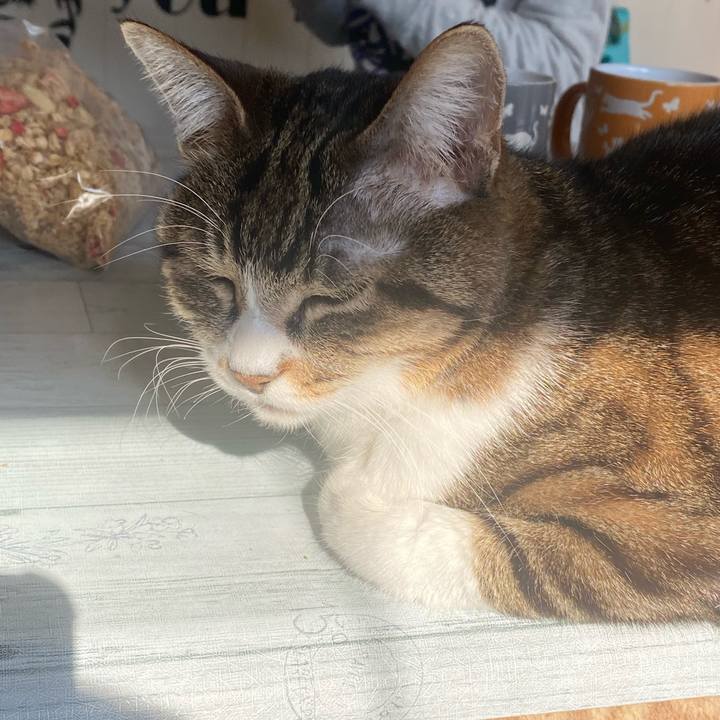 53654179 7f07 4cc4 8742 5283f4e466e7 1673149226129