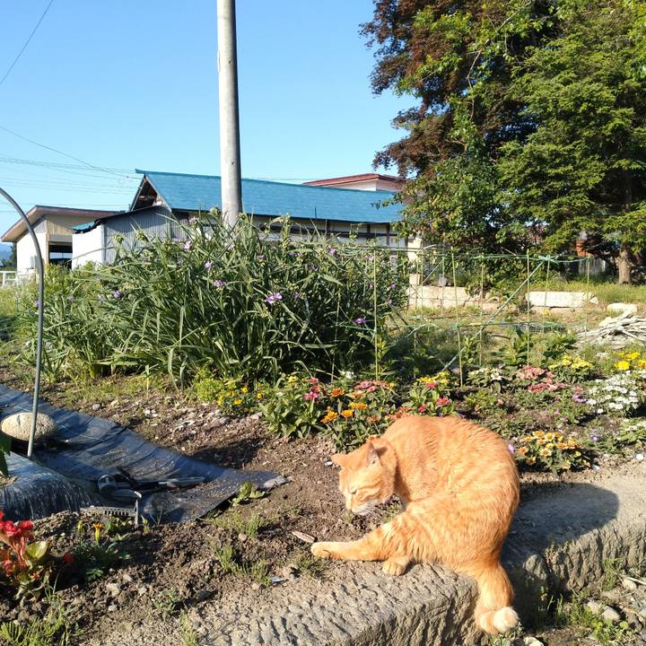 536554b7 e26a 437b aa4e 81c66484d91d 1717626524742