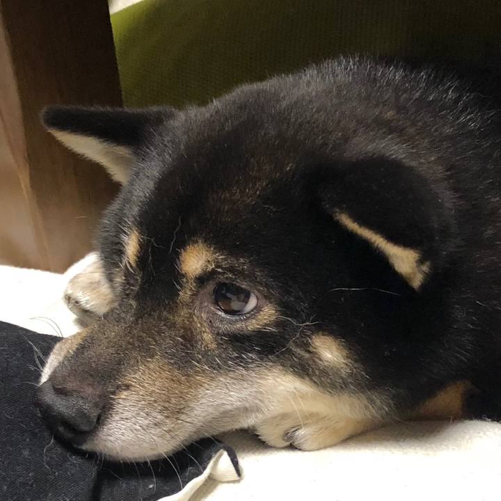 53655cd4 85bf 46fe 8e47 9031ea0869be 1538476408648