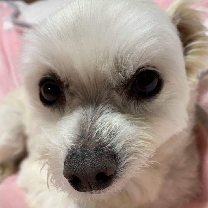 53658fb5 f46f 47e7 8ae5 8a20d43724d6 1645008878532