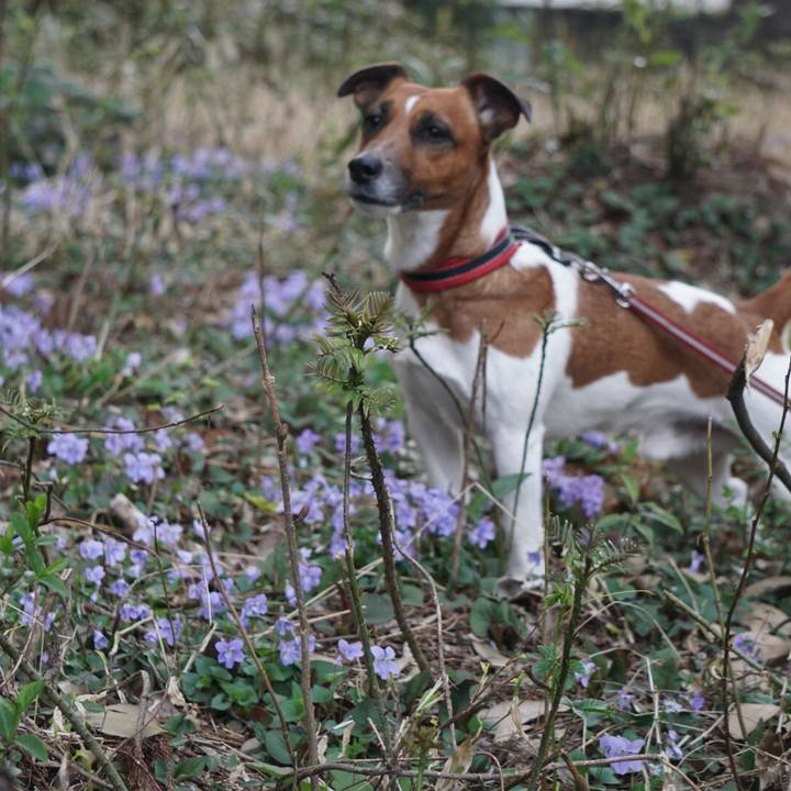 53659022 2695 4776 994b 28d00a60dd43 1522365856174