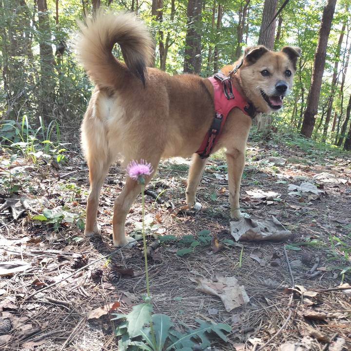 5365b40f 5b1b 4f6c 81d1 e7f4ef8533d1 1729421862432