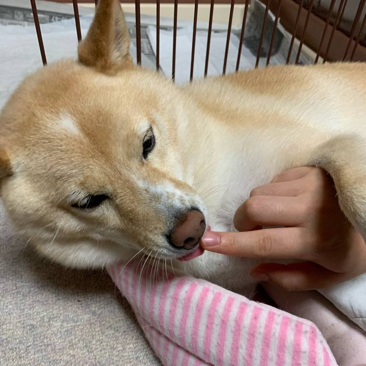 5365f509 bbc8 4021 883a 8c50f27cca4b 1632997354711