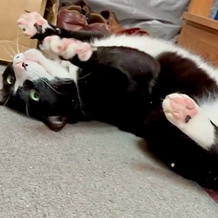 53660e79 80a5 4f8e 9666 ef0f23aeaf83 1752369867683