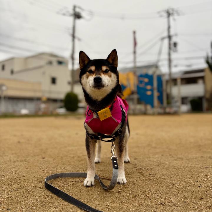 536628cb 64db 44b8 b4ce e4d6642ed059 1771989199170