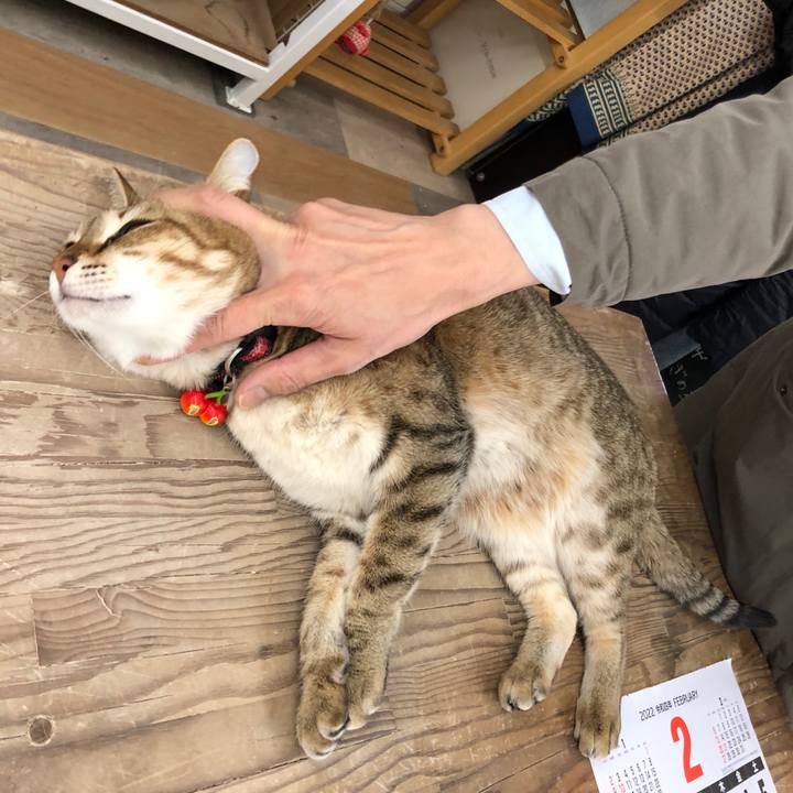 536645b1 8f33 4aaf 8458 a57130371334 1643428078660