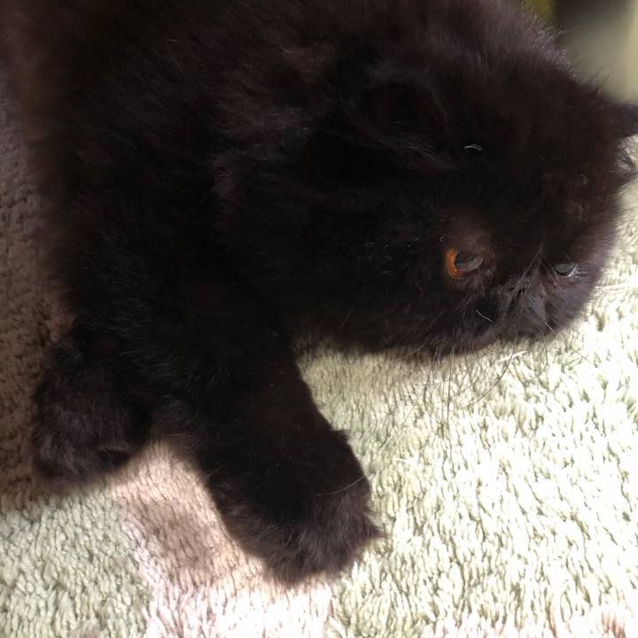 53668024 73c3 4ad7 a092 087766a1da45 1602409726667