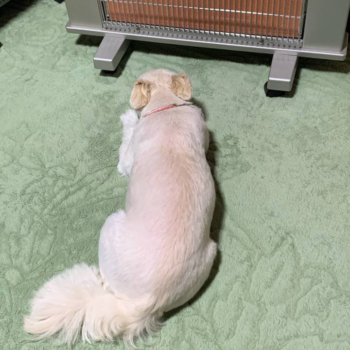 536694fc 085e 4e9c bf35 7c97b5711bb2 1618296800323