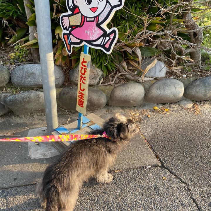 5366a42e c827 4ed2 87df 0d941060ed91 1587076788085