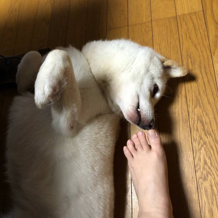 5366a6eb 074e 4e6e 8d7a 0d5a79a1091f 1603281027835