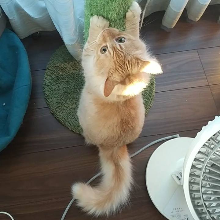 5366a828 2416 4d40 948d 1871a5e2aeb0 1626905497235