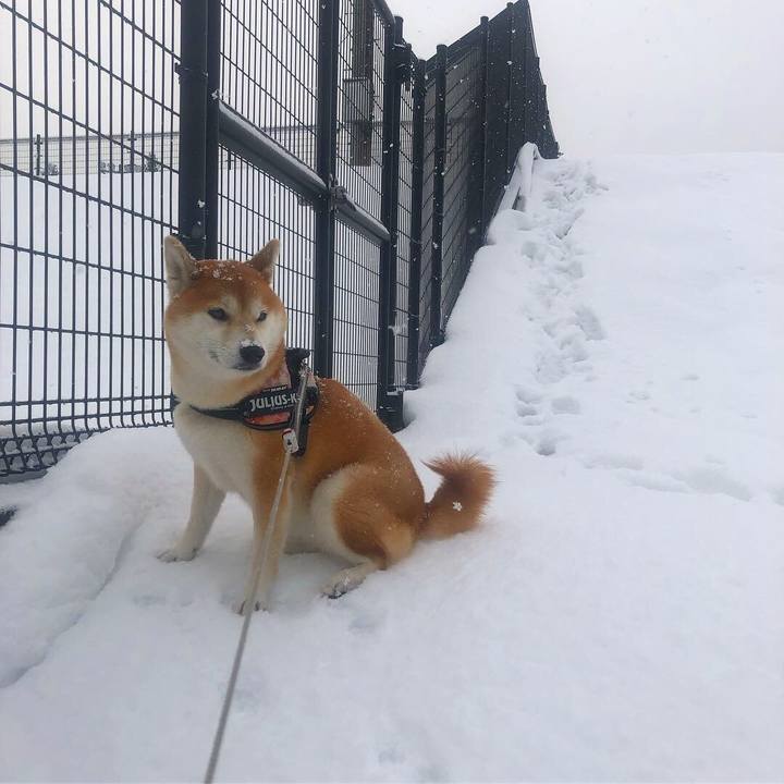 5366aaaf bf55 4e7f 9885 cebb3012fc29 1545098571310