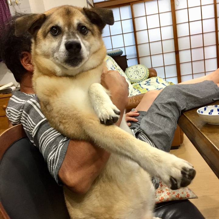 5366ac0f f165 43f5 8fb9 517bece8c7c3 1598612583993