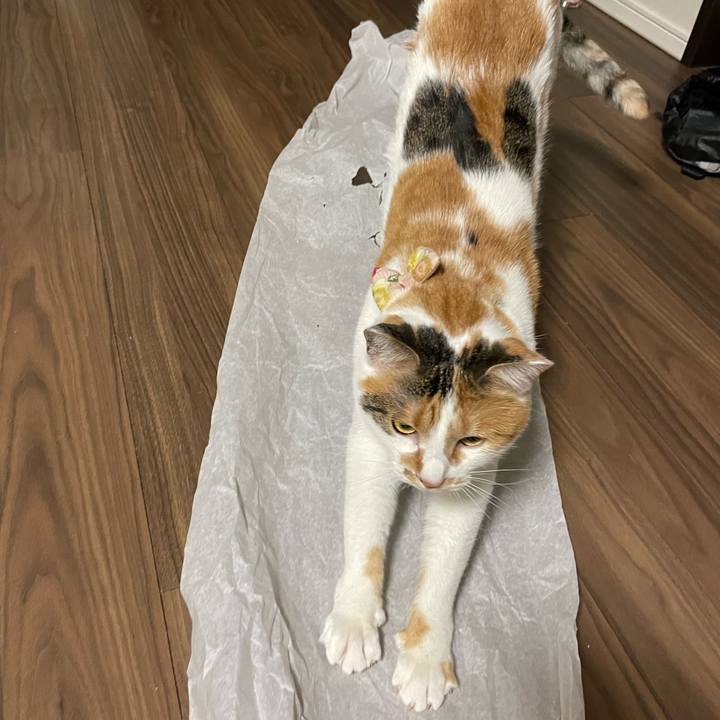 5366e14e 174e 4e46 a42e 49c6f025d964 1641898262598