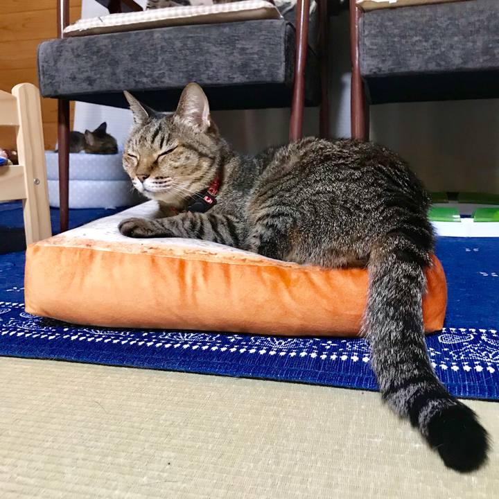 5366e40a 6b17 4074 acba 76684d0ac005 1525262992716