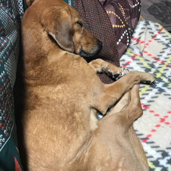 5366ec11 ae52 402e a943 7122a09a4589 1522201612908