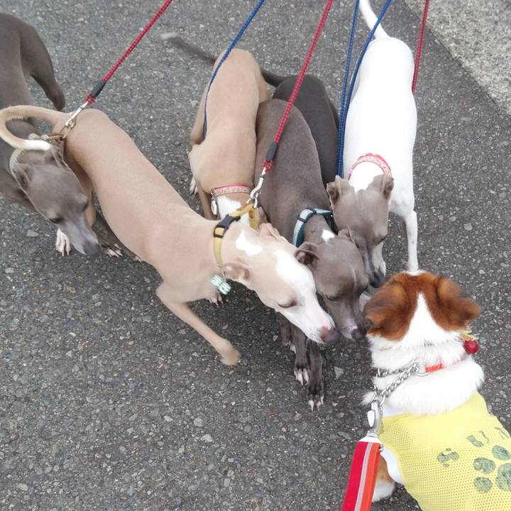 53673268 7487 48aa 9961 e24ec0349b9e 1532783466769