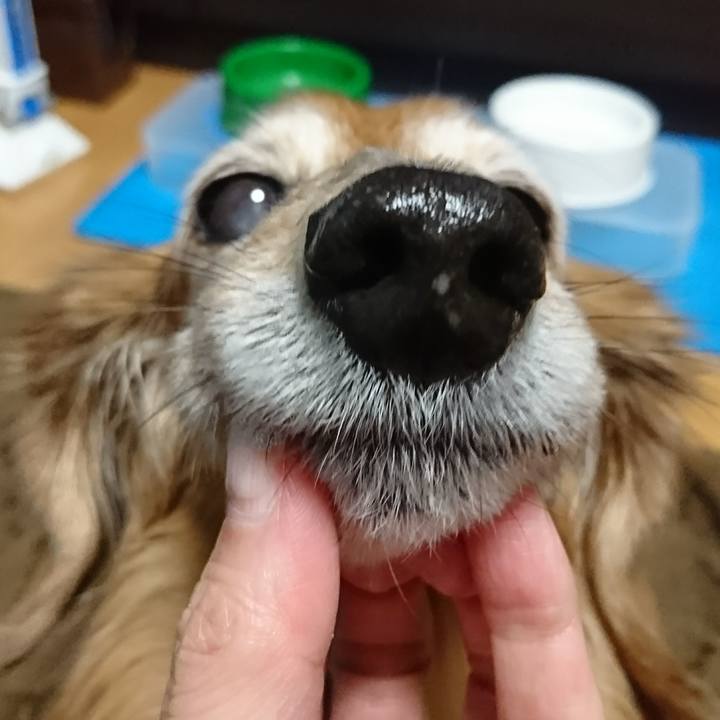 53673d37 0de3 4ff3 bc37 ad98e22c51be 1516613099703