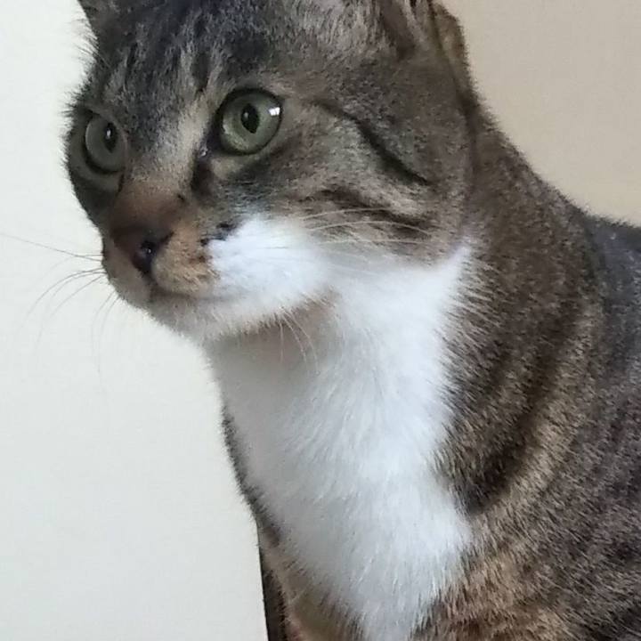 536744af 8a66 4544 850c d009532e9abe 1617467800683