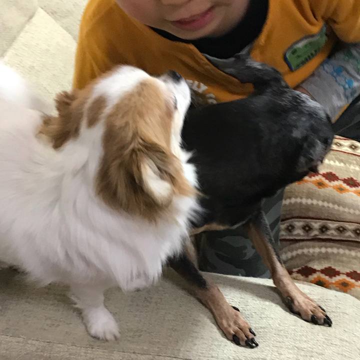 53674ea8 6847 4fcd ba26 9827fe8af3f1 1547877906626