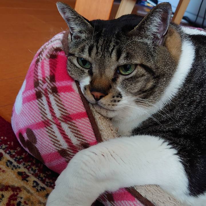 5367571b 9045 4332 95e5 98453800e7af 1612174643937